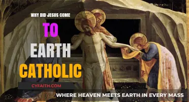 Why Did Jesus Come to Earth? A Catholic Perspective