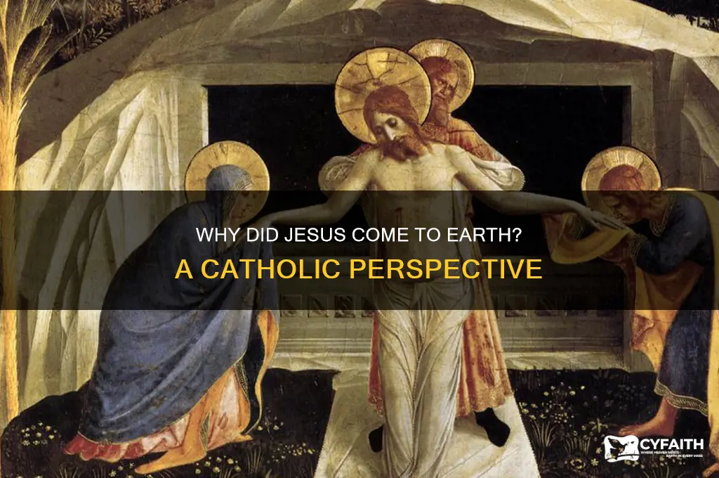 why did jesus come to earth catholic