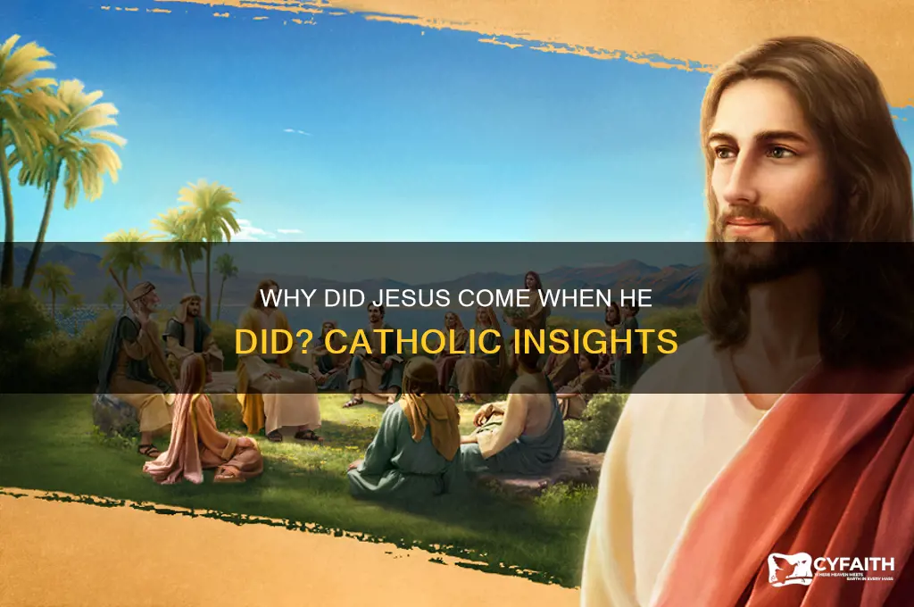 why did jesus come when he did catholic
