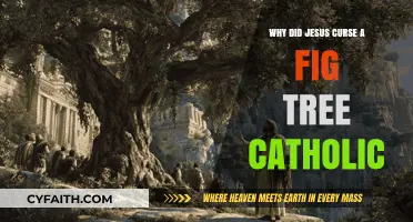 Jesus Cursing the Fig Tree: Catholic Insights on the Gospel Parable