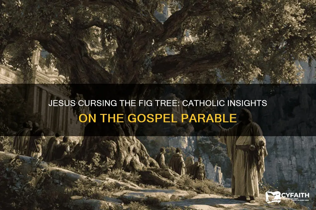 why did jesus curse a fig tree catholic
