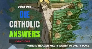 Why Did Jesus Die? Catholic Answers to the Ultimate Sacrifice