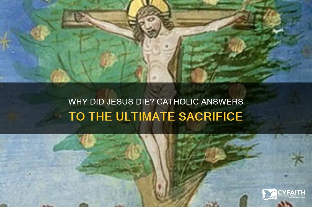 why did jesus die catholic answers