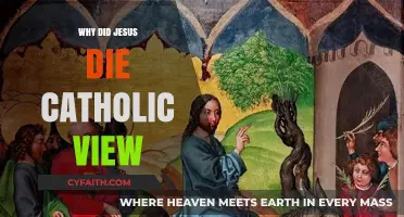 Why Did Jesus Die? Exploring the Catholic Perspective on His Sacrifice