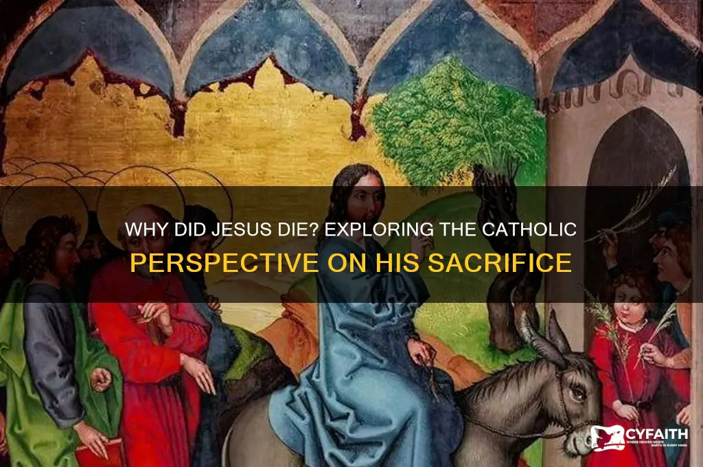 why did jesus die catholic view