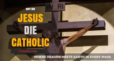 Why Did Jesus Die? Catholic Insights on His Sacrifice