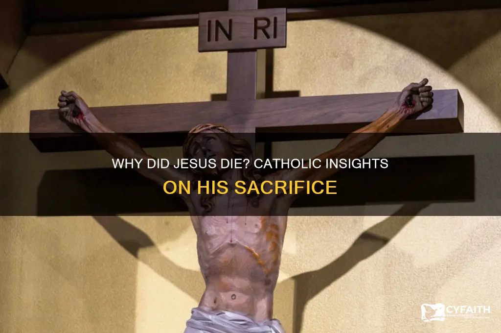 why did jesus die catholic