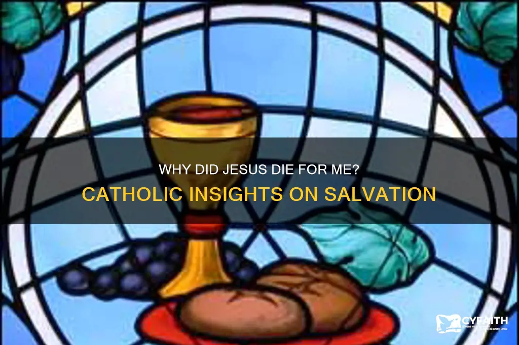 why did jesus die for me catholic