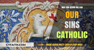 Why Did Jesus Die for Our Sins? Catholic Perspective Explained