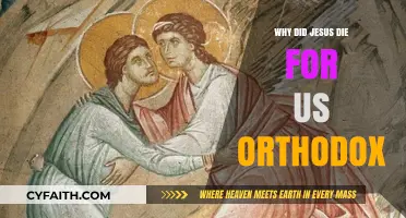 Why Did Jesus Die for Us? Orthodox Insights on Salvation