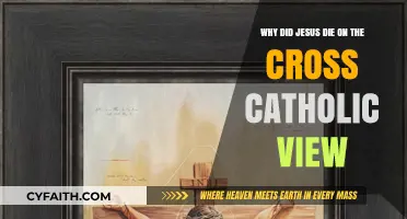 Why Did Jesus Die on the Cross? Catholic Perspective Explained