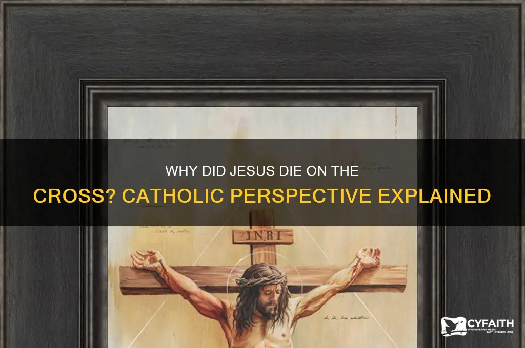why did jesus die on the cross catholic view
