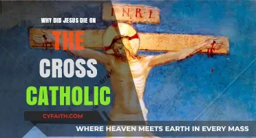 Why Did Jesus Die on the Cross? Catholic Perspective Explained