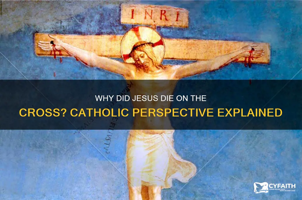 why did jesus die on the cross catholic