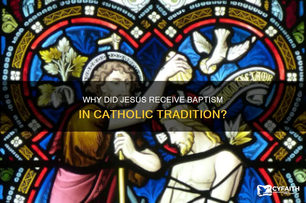 why did jesus get baptized catholic
