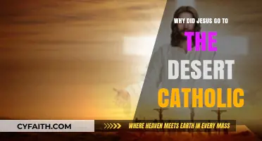 Jesus' Desert Journey: Catholic Insights into His 40-Day Fast