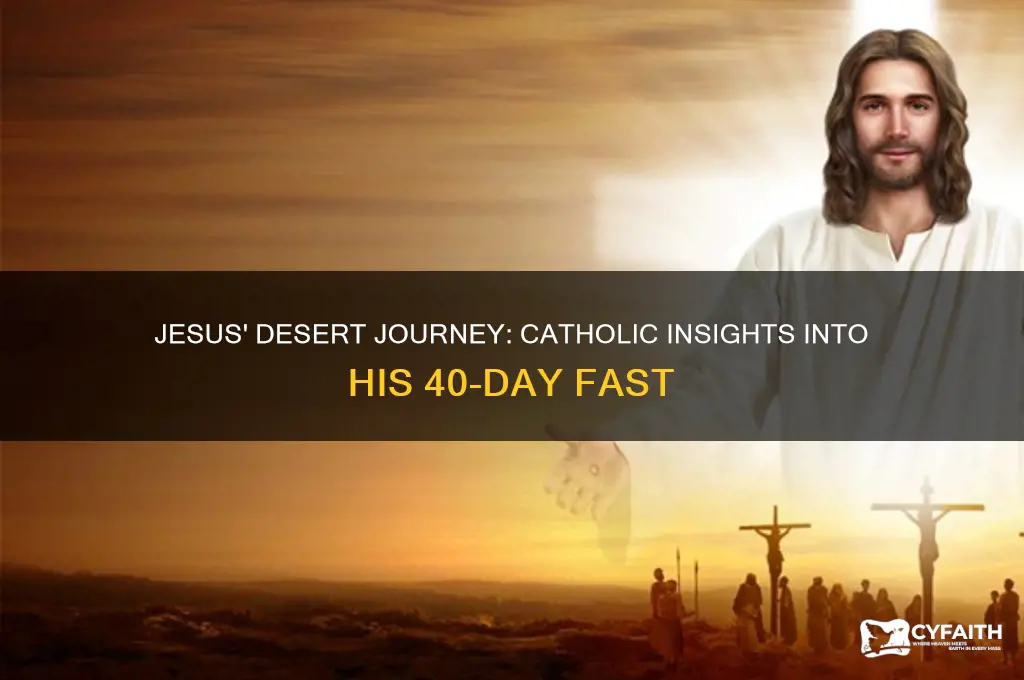 why did jesus go to the desert catholic