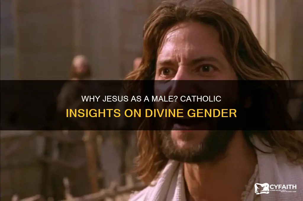 why did jesus have to be a male catholic answers