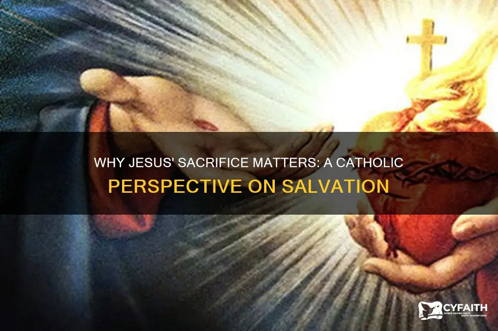 why did jesus have to die for me catholic