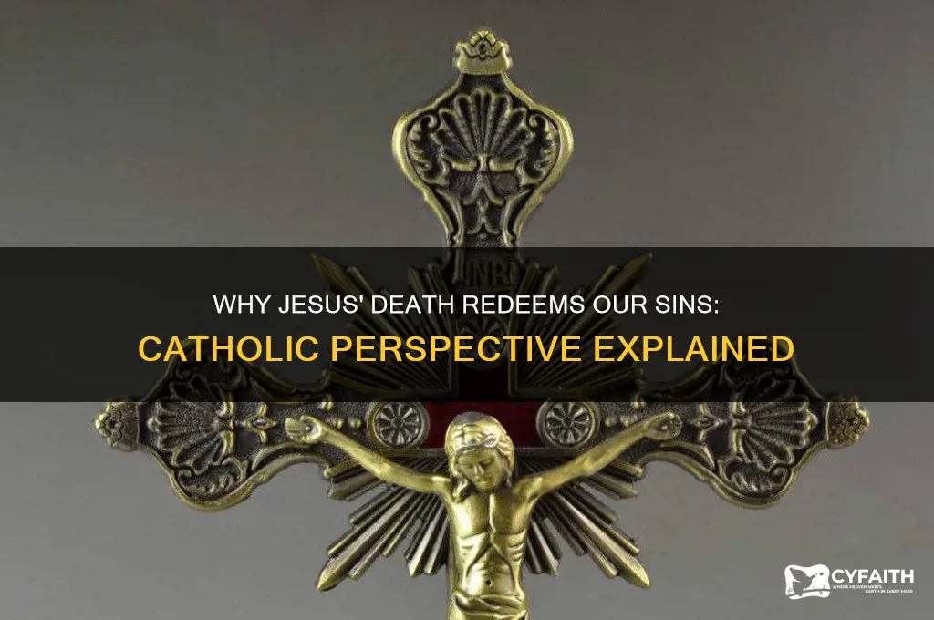 why did jesus have to die for our sins catholic