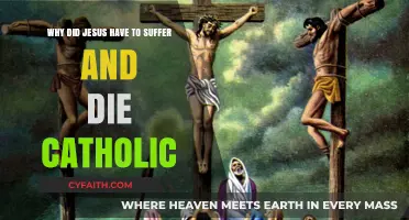 Why Did Jesus Suffer and Die? Catholic Insights Explained