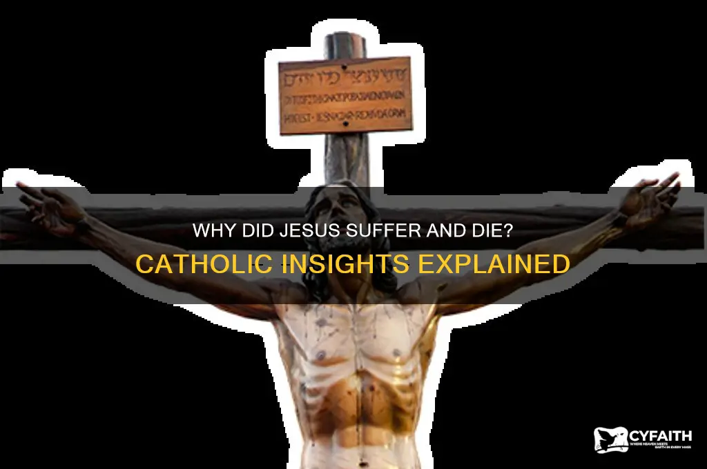 why did jesus have to suffer and die catholic