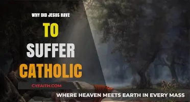 Why Did Jesus Suffer? Catholic Insights on His Redemptive Pain