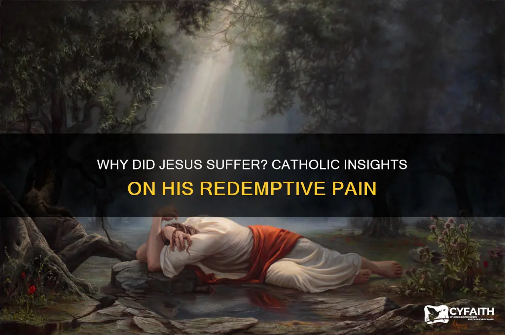 why did jesus have to suffer catholic