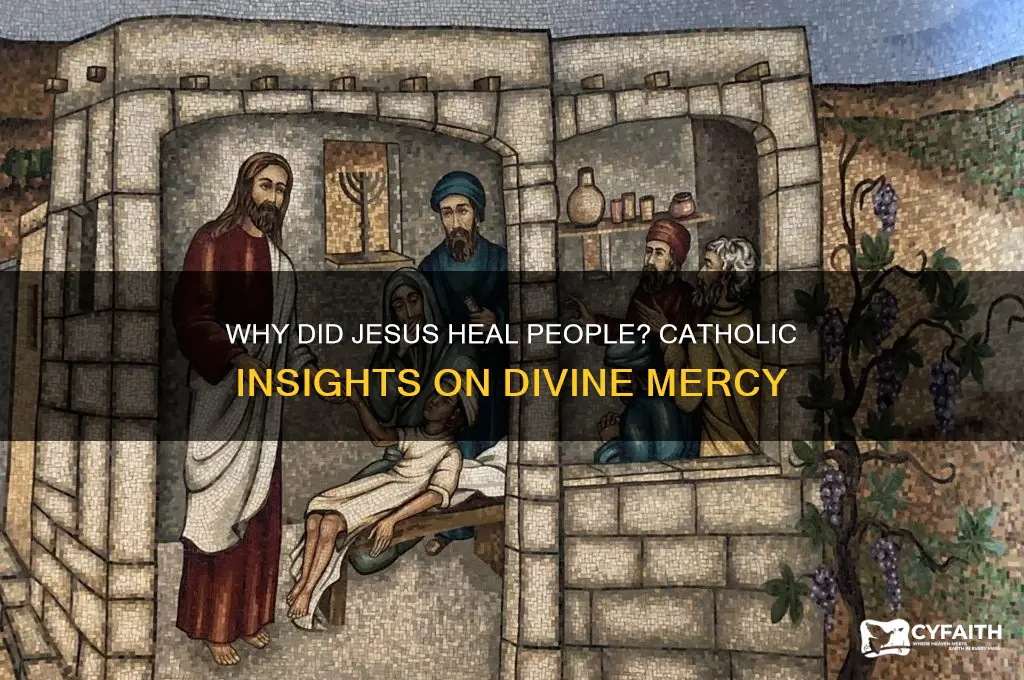 why did jesus heal people catholic