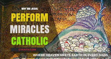 Why Did Jesus Perform Miracles? A Catholic Perspective Explained