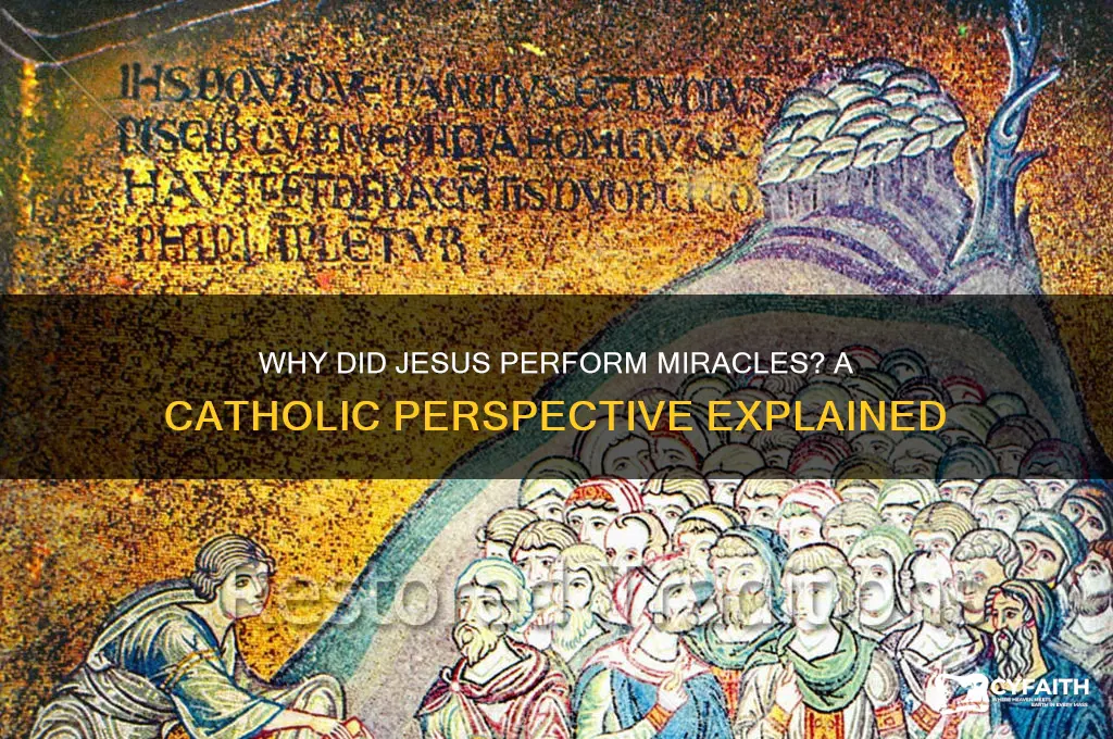 why did jesus perform miracles catholic