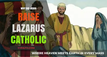 Jesus Raises Lazarus: Catholic Insights on Faith and Resurrection