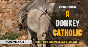 Why Jesus Rode a Donkey: Catholic Insights and Symbolism
