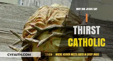 Jesus' Final Words: 'I Thirst' and Catholic Spirituality Explained