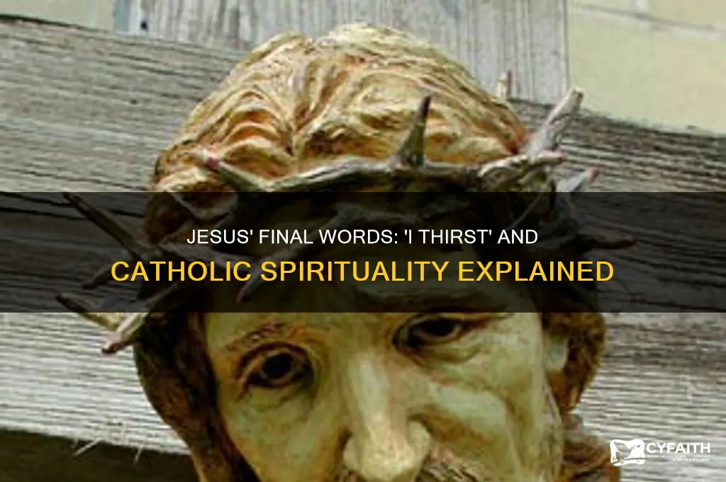 why did jesus say i thirst catholic