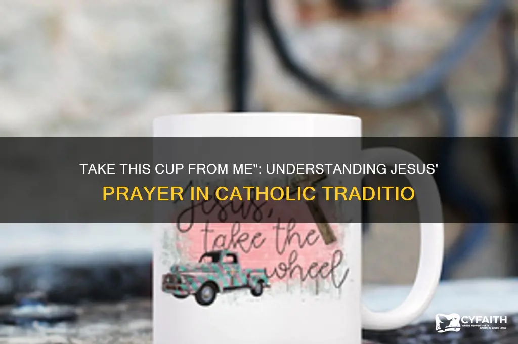 why did jesus say take this cup from me catholic