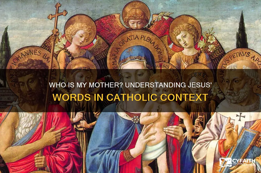 why did jesus say who is my mother catholic