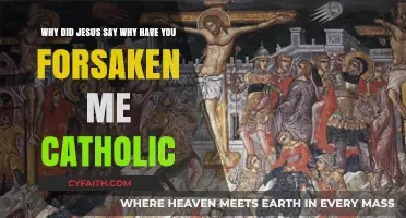 Why Have You Forsaken Me?": Understanding Jesus' Cry on the Cros
