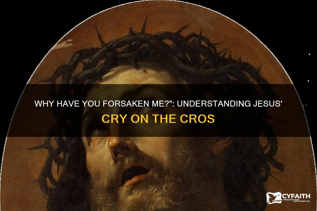 why did jesus say why have you forsaken me catholic