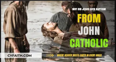 Why Jesus Sought Baptism from John the Baptist in Catholicism