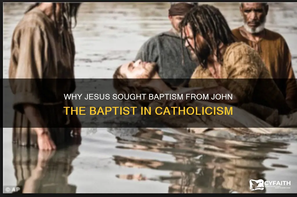 why did jesus seek baptism from john catholic
