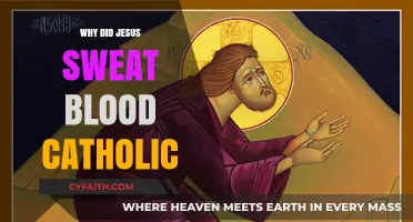 Jesus' Bloody Sweat: Catholic Insights on His Agony in Gethsemane