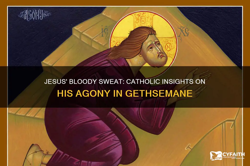 why did jesus sweat blood catholic