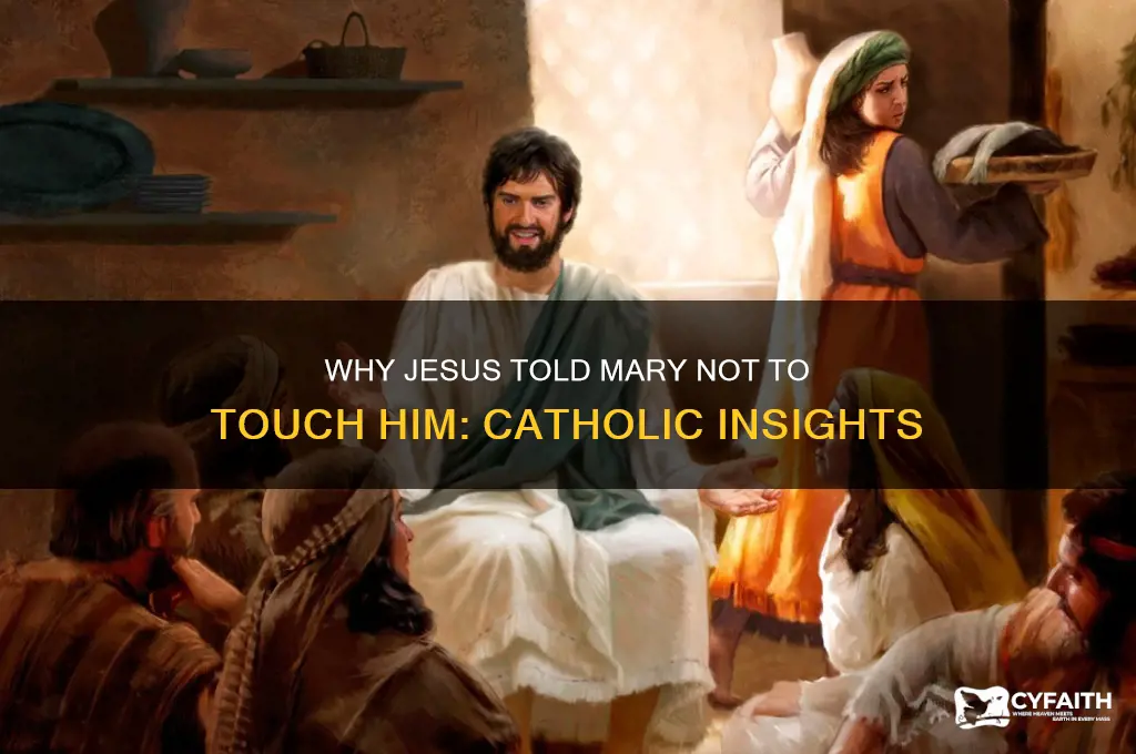 why did jesus tell mary not to touch him catholic