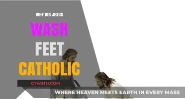 Why Did Jesus Wash Feet: Catholic Insights on Humility and Service