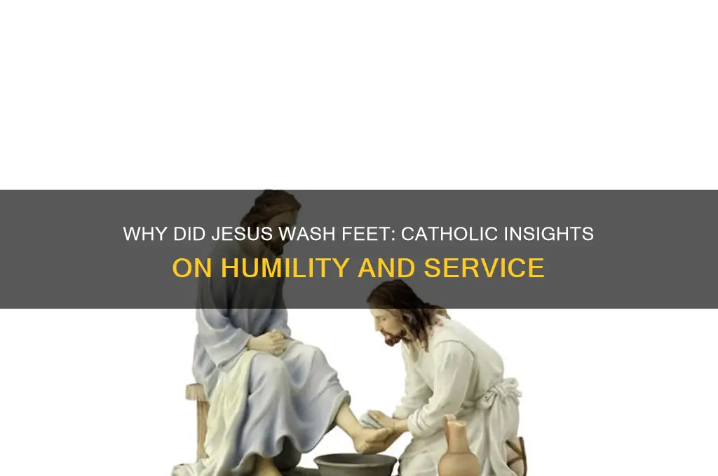 why did jesus wash feet catholic