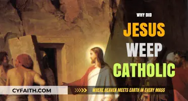 Why Did Jesus Weep? Exploring Catholic Insights on His Tears
