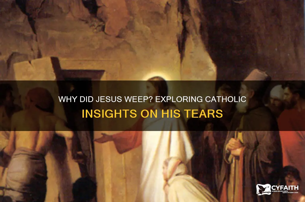 why did jesus weep catholic