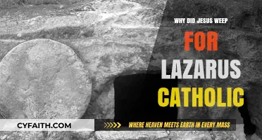 Jesus Weeps for Lazarus: A Catholic Reflection on Divine Compassion