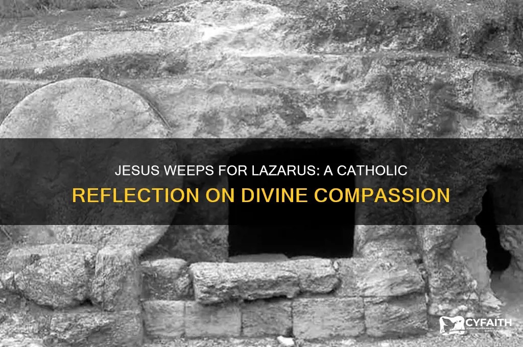 why did jesus weep for lazarus catholic